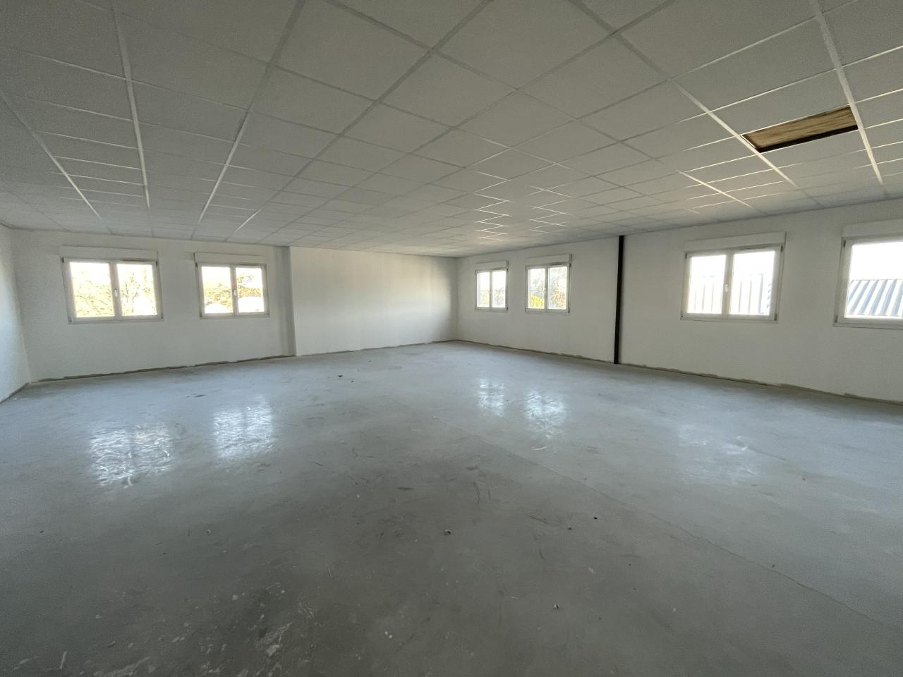 Location local d'activité Toulouse Haute-Garonne OLACT2531636 6