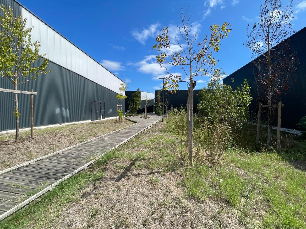 Location local d'activité Mérignac Gironde OLACT2644286 13