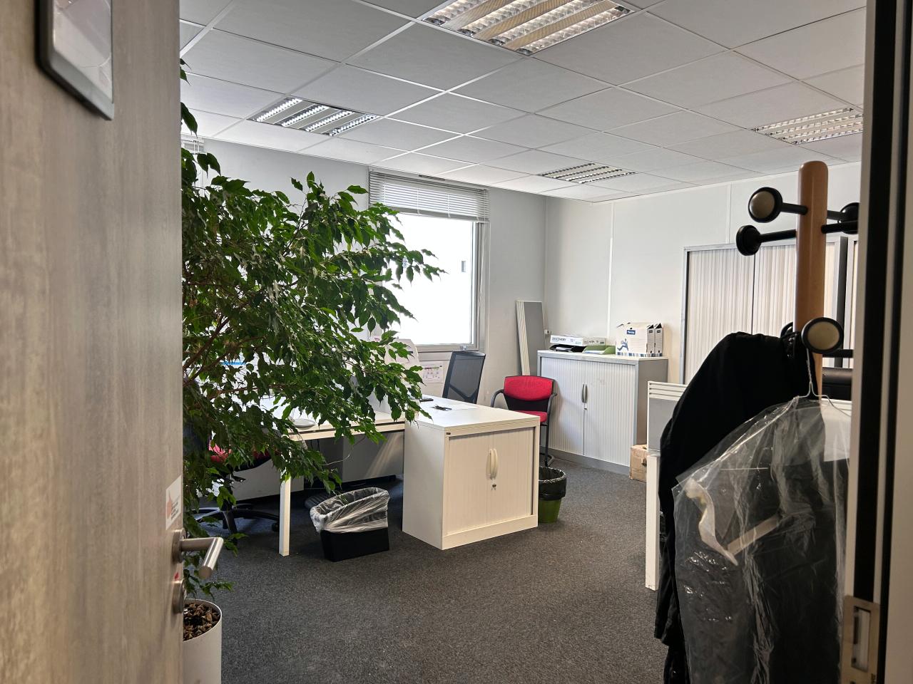 Location bureau Montpellier Hérault OLBUR2318577 60