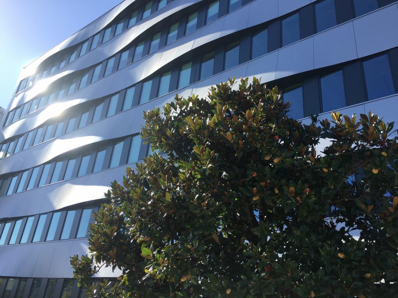 Location bureau Lyon Rhône OLBUR2419115 6