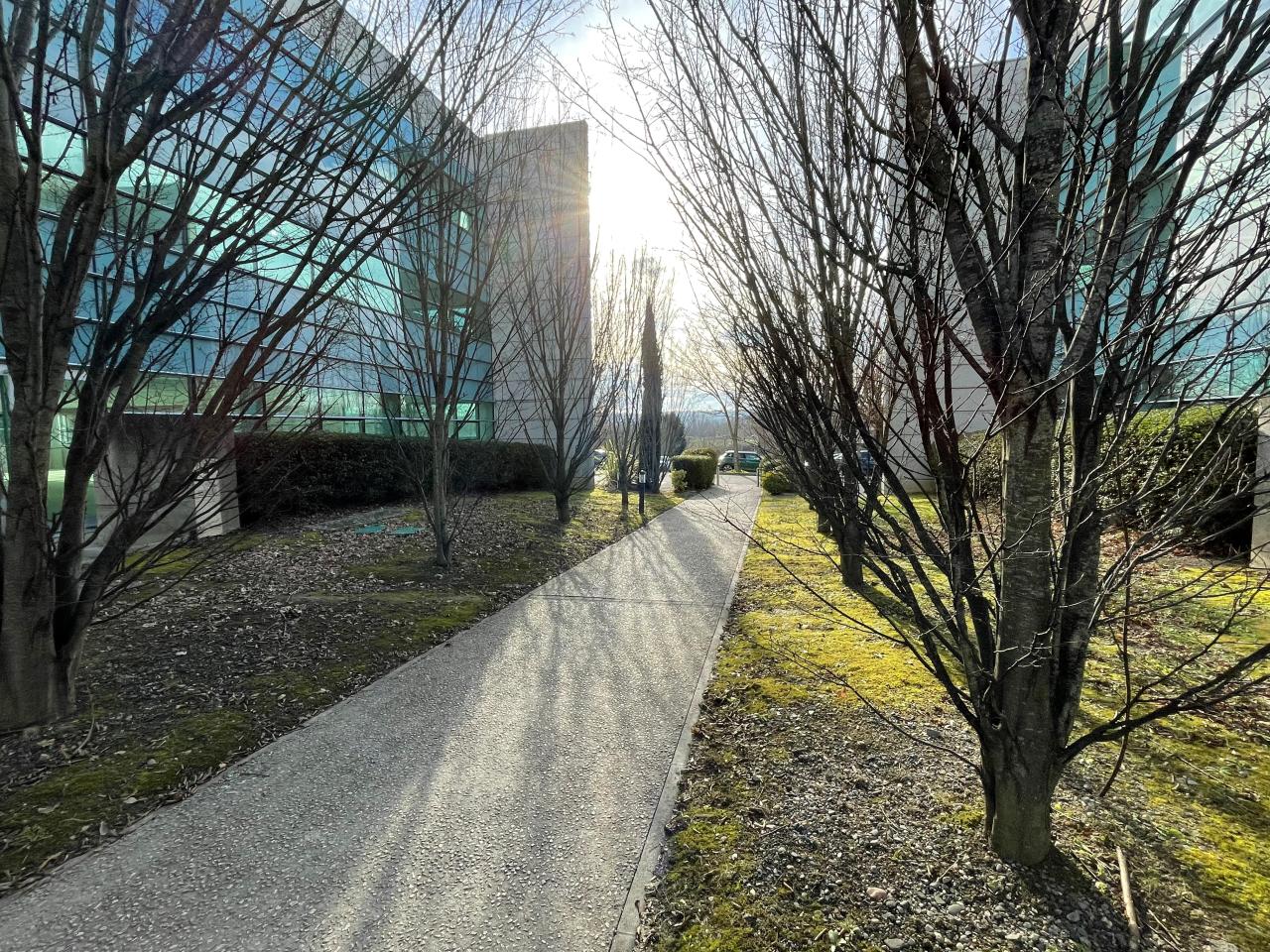 Location bureau Labège Haute-Garonne OLBUR2108358 5