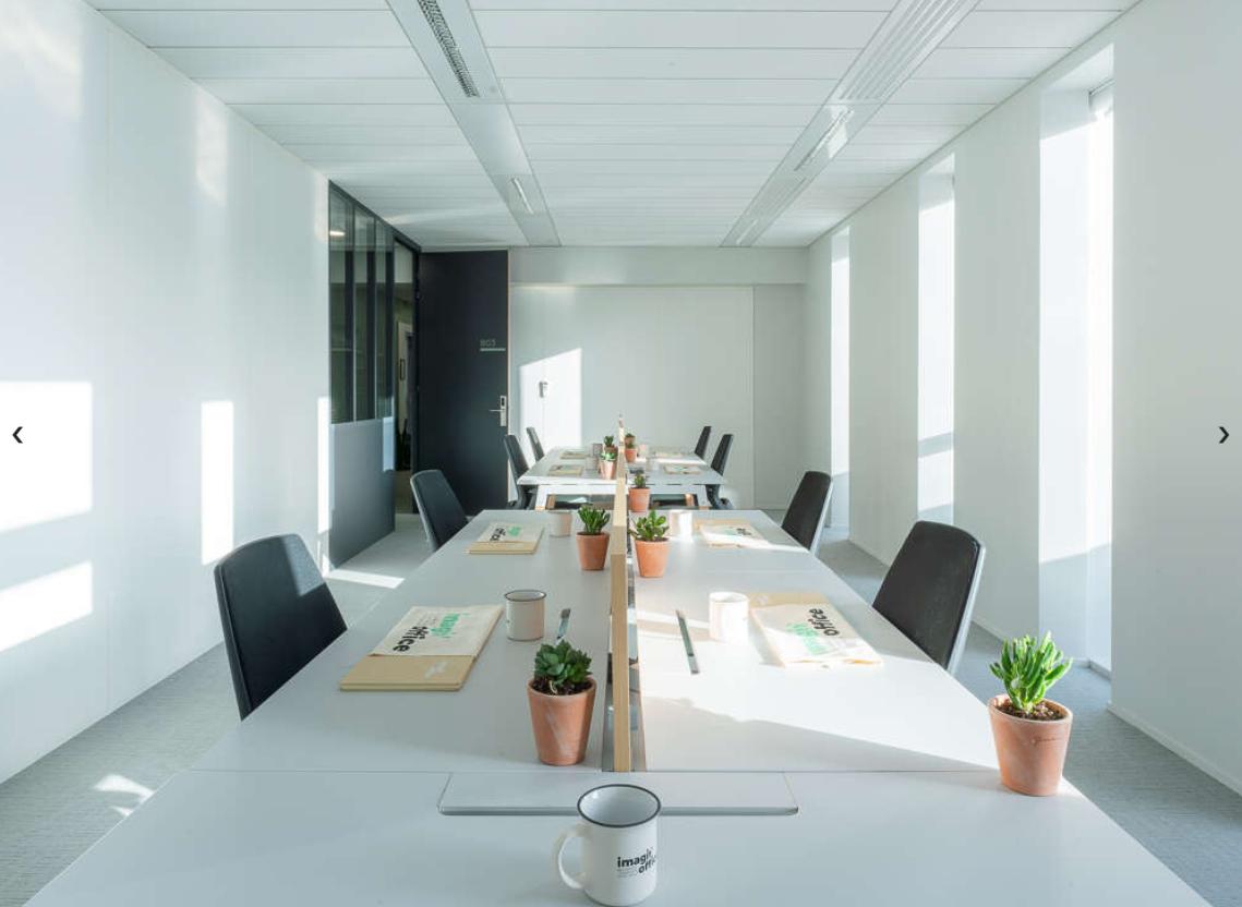 Location coworking Villeurbanne Rhône OLBUR2313491 11