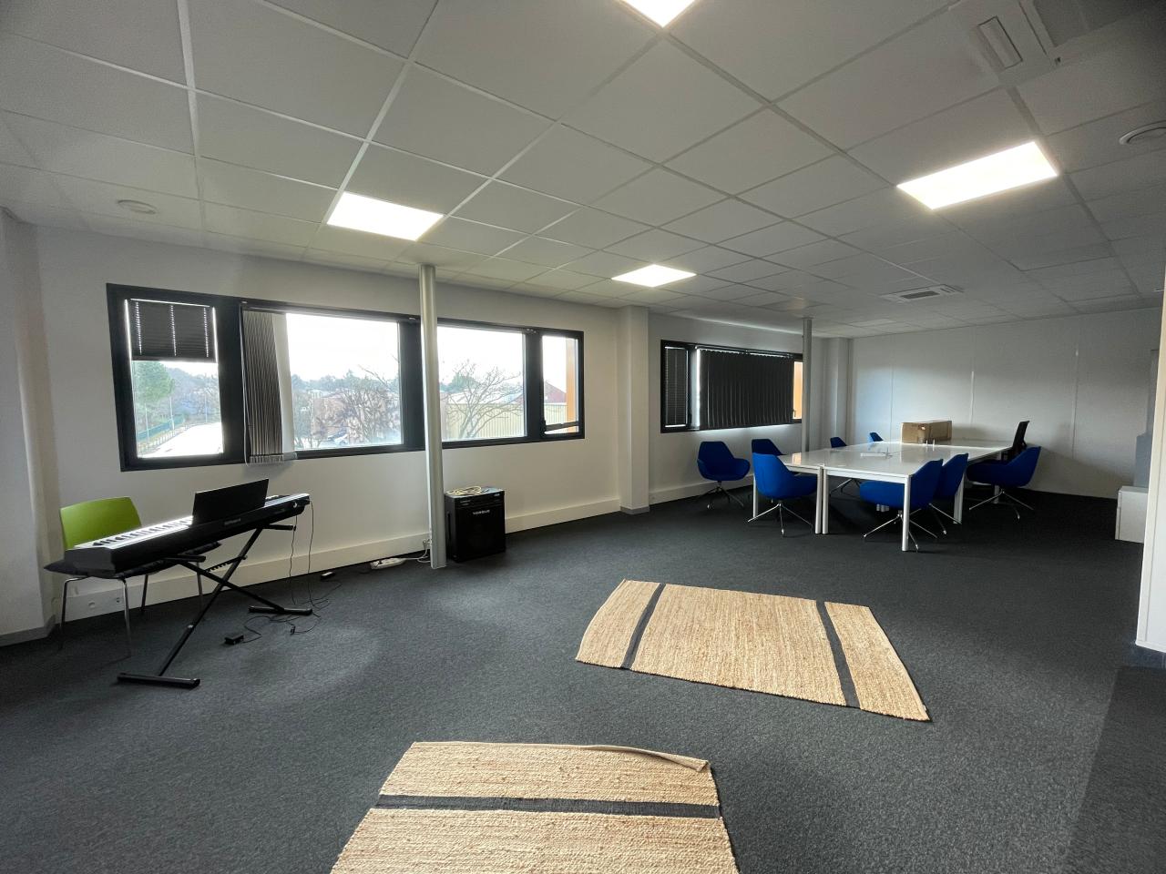 Location local d'activité Saint-Orens-de-Gameville Haute-Garonne OLACT2529105 14