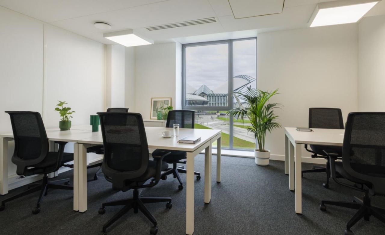 Location coworking Colombier-Saugnieu Rhône OLBUR2642220 10