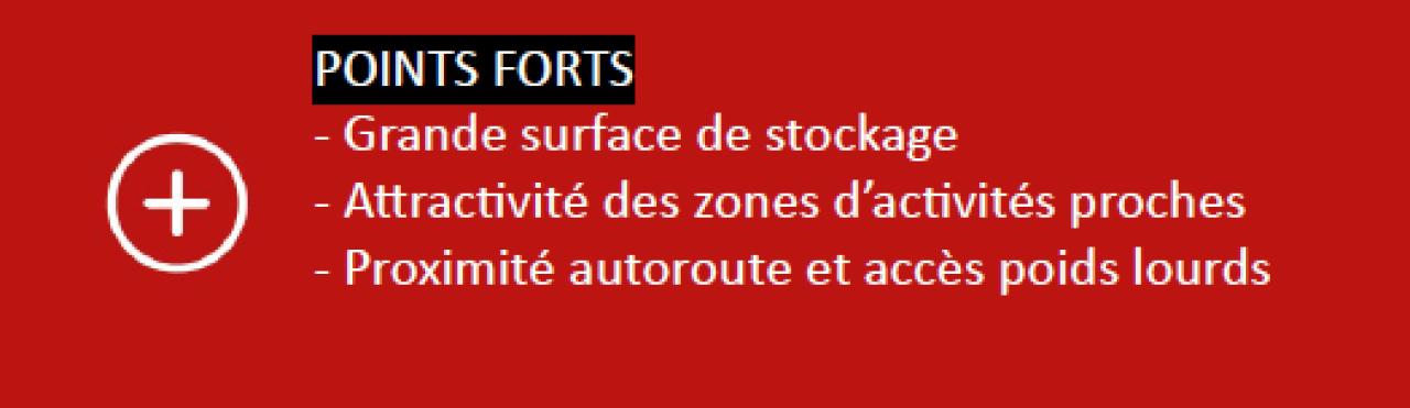 Vente local d'activité Corcelles-en-Beaujolais Rhône OVACT2201147 13