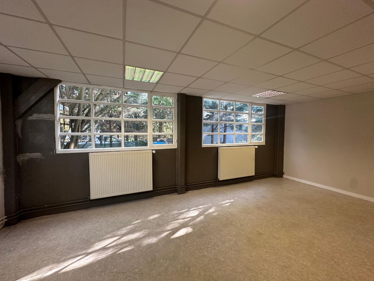 Location local d'activité Fondettes Indre-et-Loire OLACT2640418 4