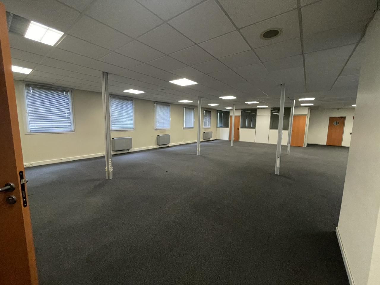 Location local d'activité Décines-Charpieu Rhône OLACT2313321 3