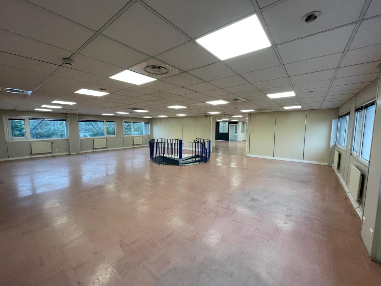 Location local d'activité Saint Thibault des Vignes Seine-et-Marne OLACT2313593 6