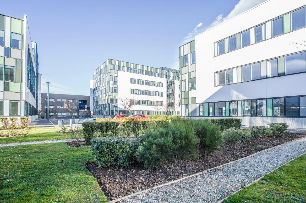 Vente bureau Lyon Rhône OVBUR2109249 7