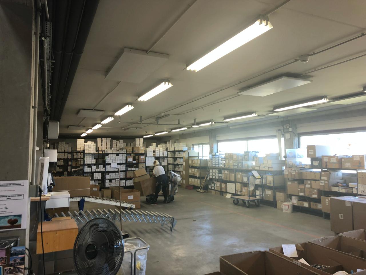 Location local d'activité Saint-André-de-Corcy Ain OLACT2528965 6