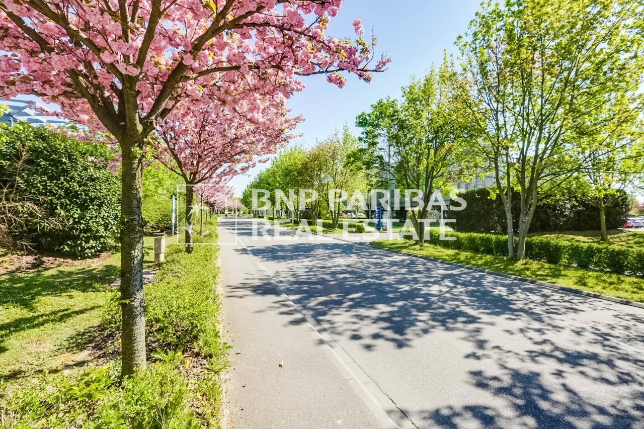 Location coworking Schiltigheim Bas-Rhin OLBUR2310306 6