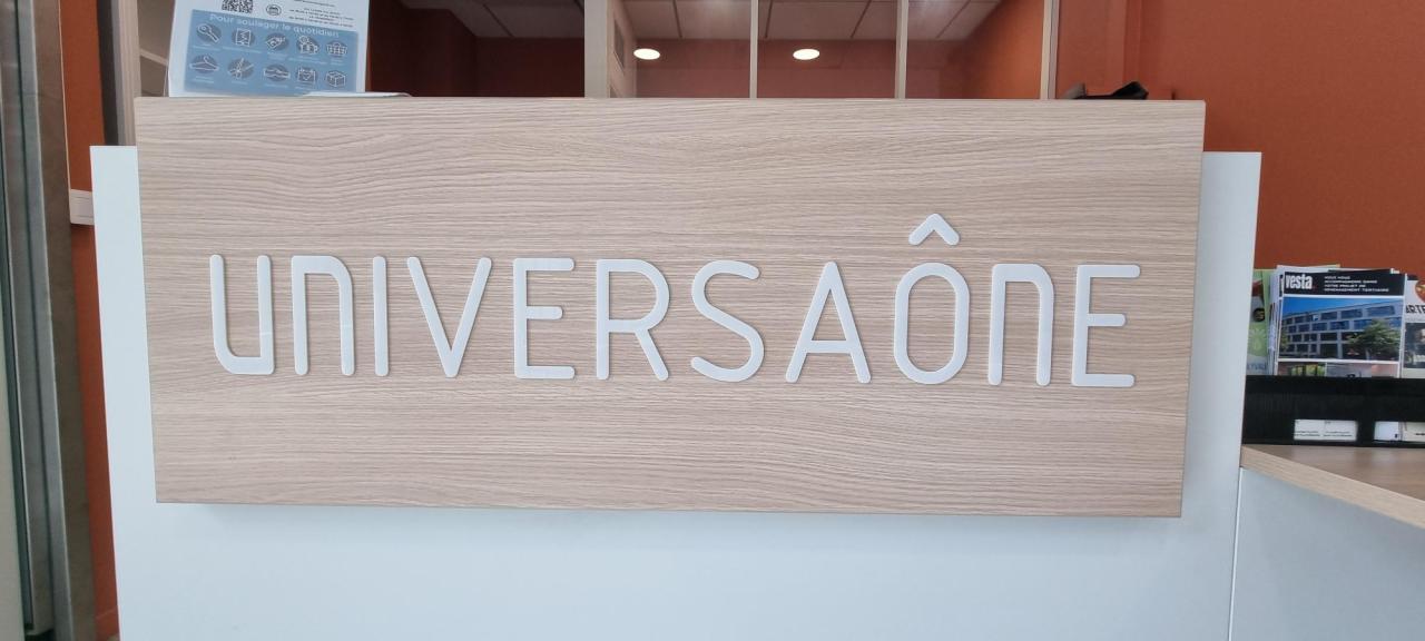 Location bureau Lyon Rhône OLBUR2203208 18