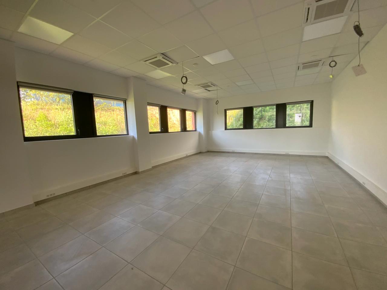 Location local d'activité Saint-Quentin-Fallavier Isère OLACT2203231 16