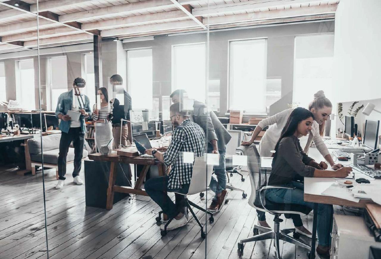 Location commerce Montpellier Hérault OLCOM2425844 7