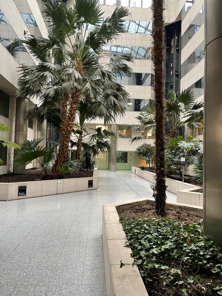 Vente bureau Lyon Rhône OVBUR2419565 37