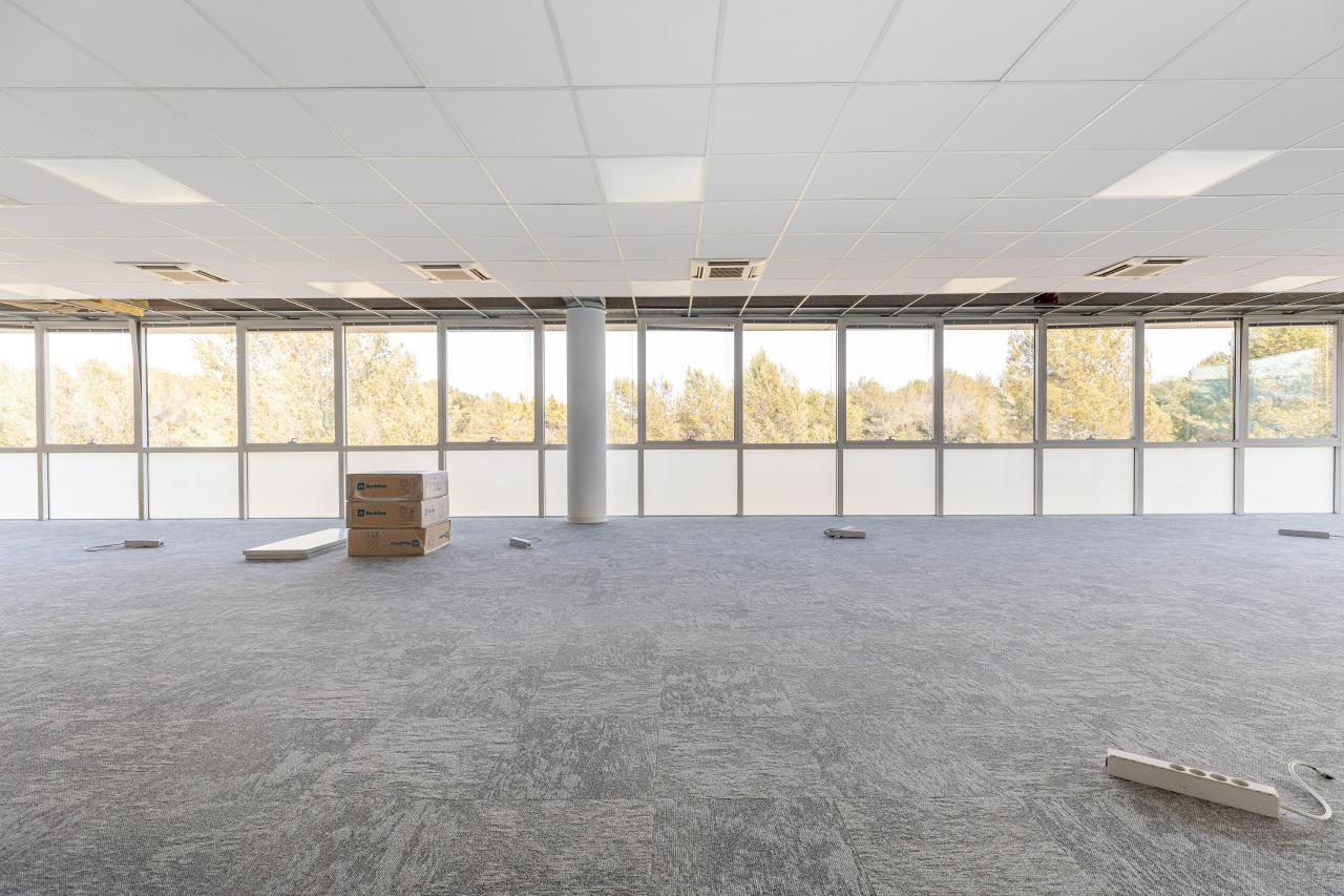 Location bureau Biot Alpes-Maritimes OLBUR2114858 11