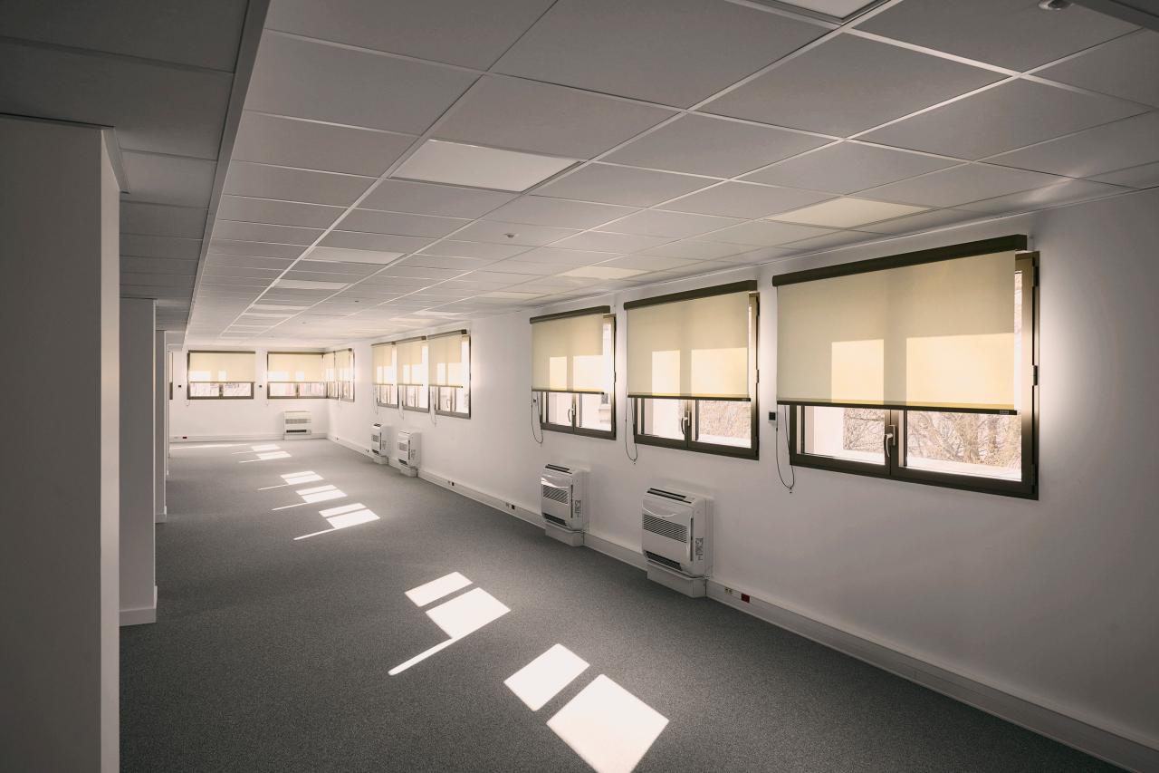 Location bureau Lyon Rhône OLBUR2536634 15