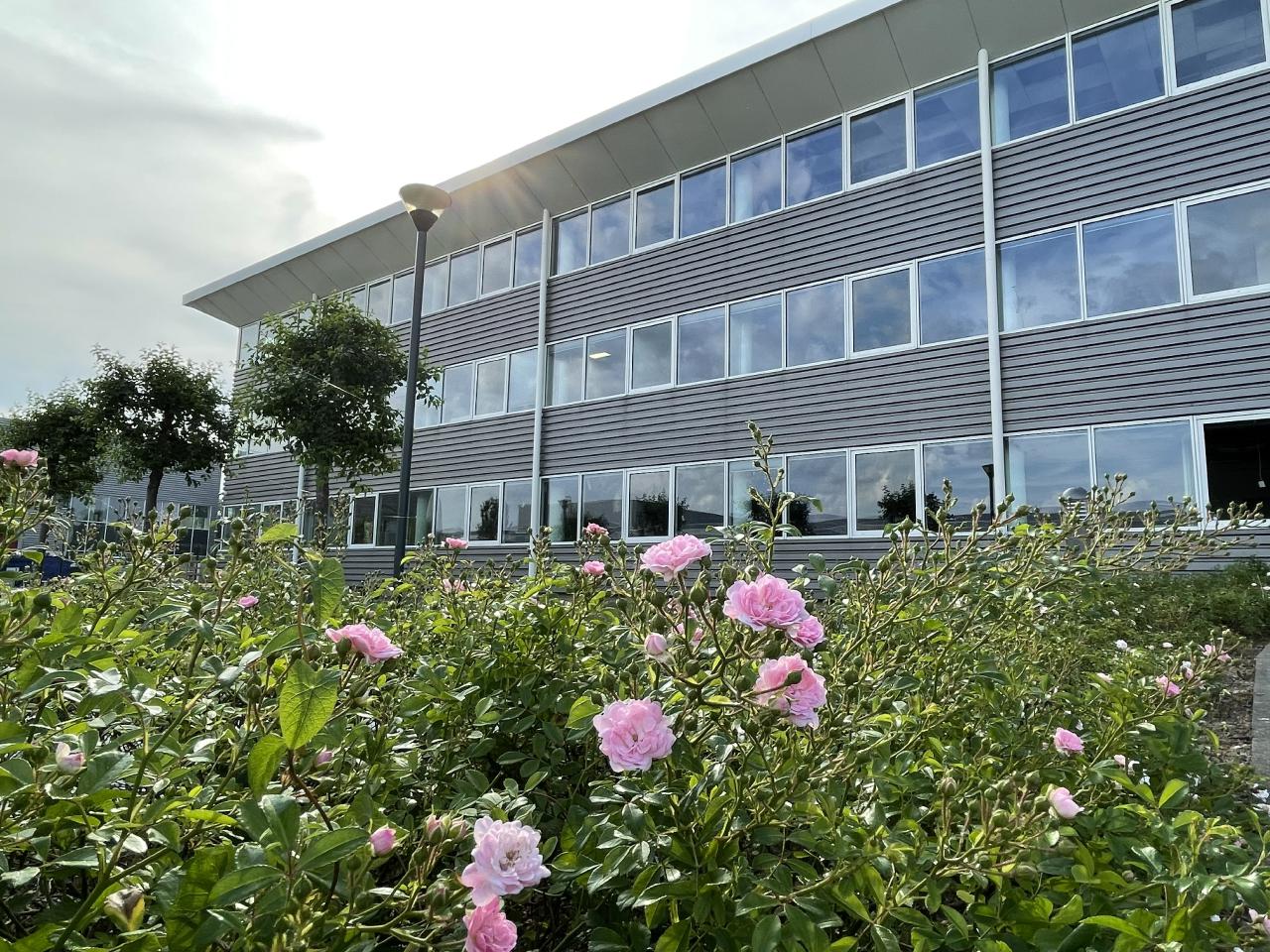 Location bureau Argenteuil Val-d'Oise OLBUR2105962 13