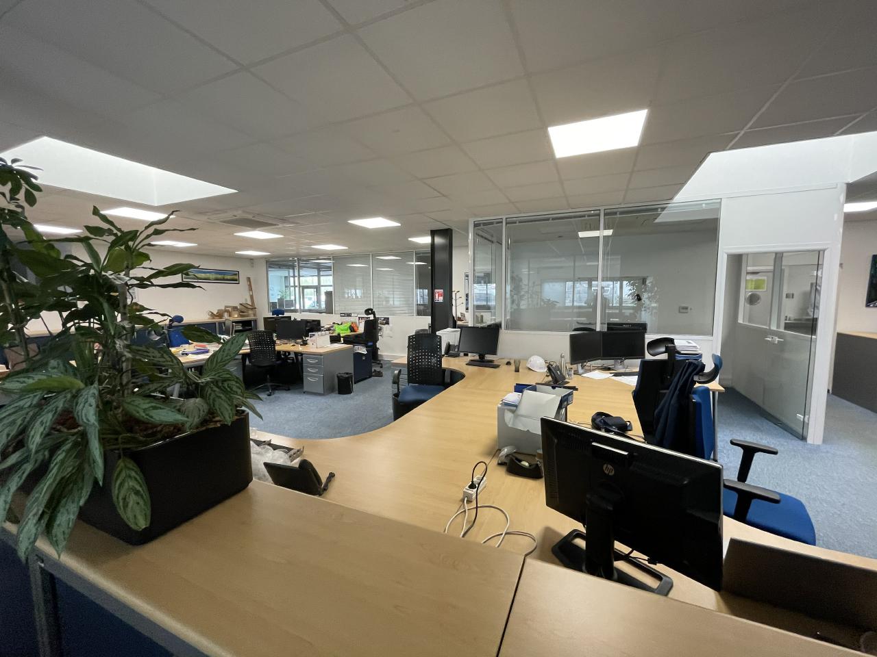 Location local d'activité Montrabé Haute-Garonne OLACT2638183 15