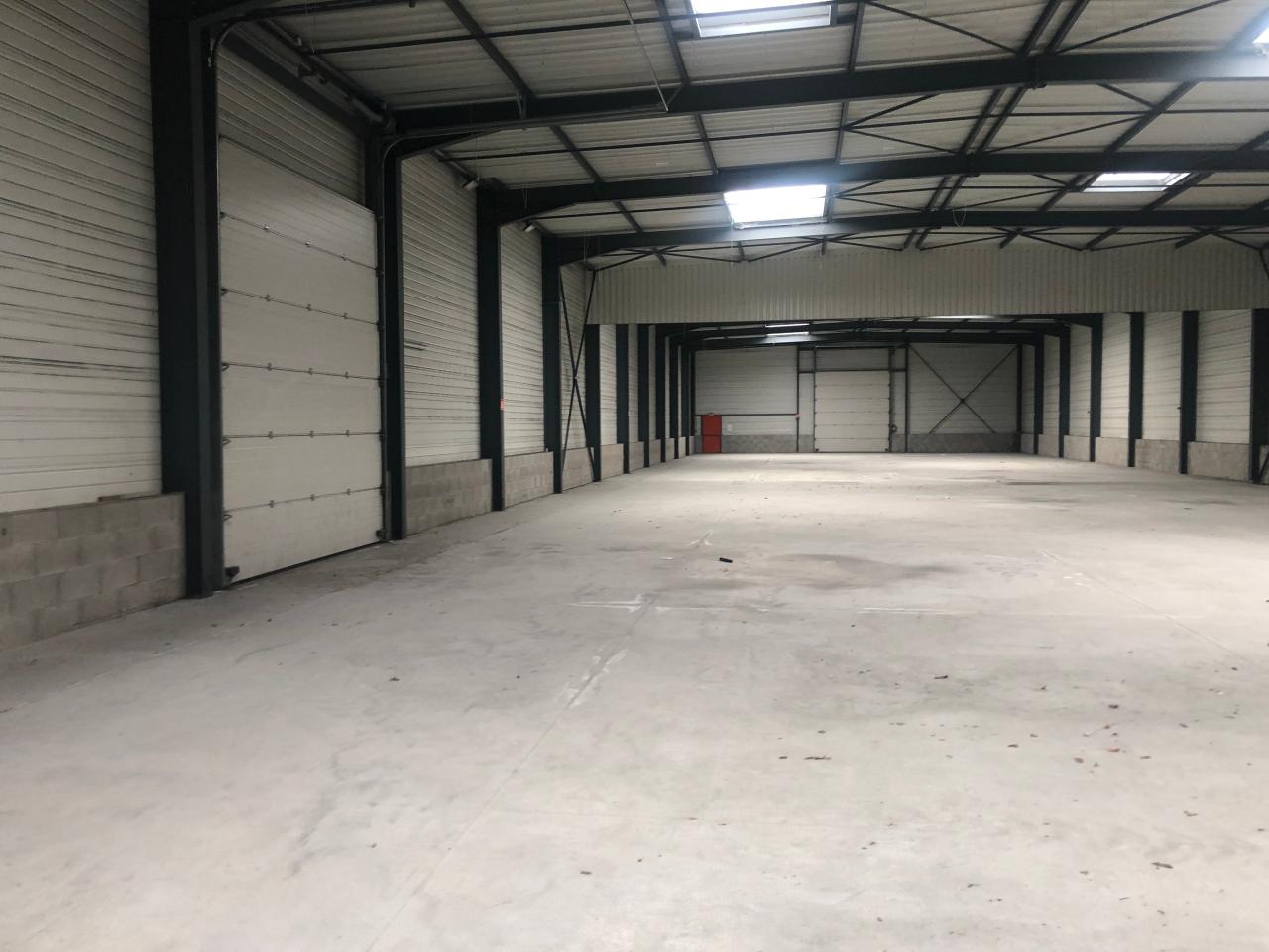 Location local d'activité Mions Rhône OLACT2530745 5