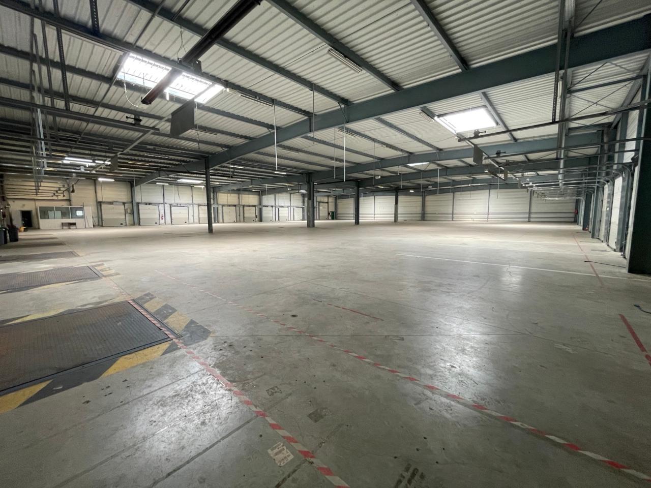 Location local d'activité Mitry-Mory Seine-et-Marne OLACT2424003 8