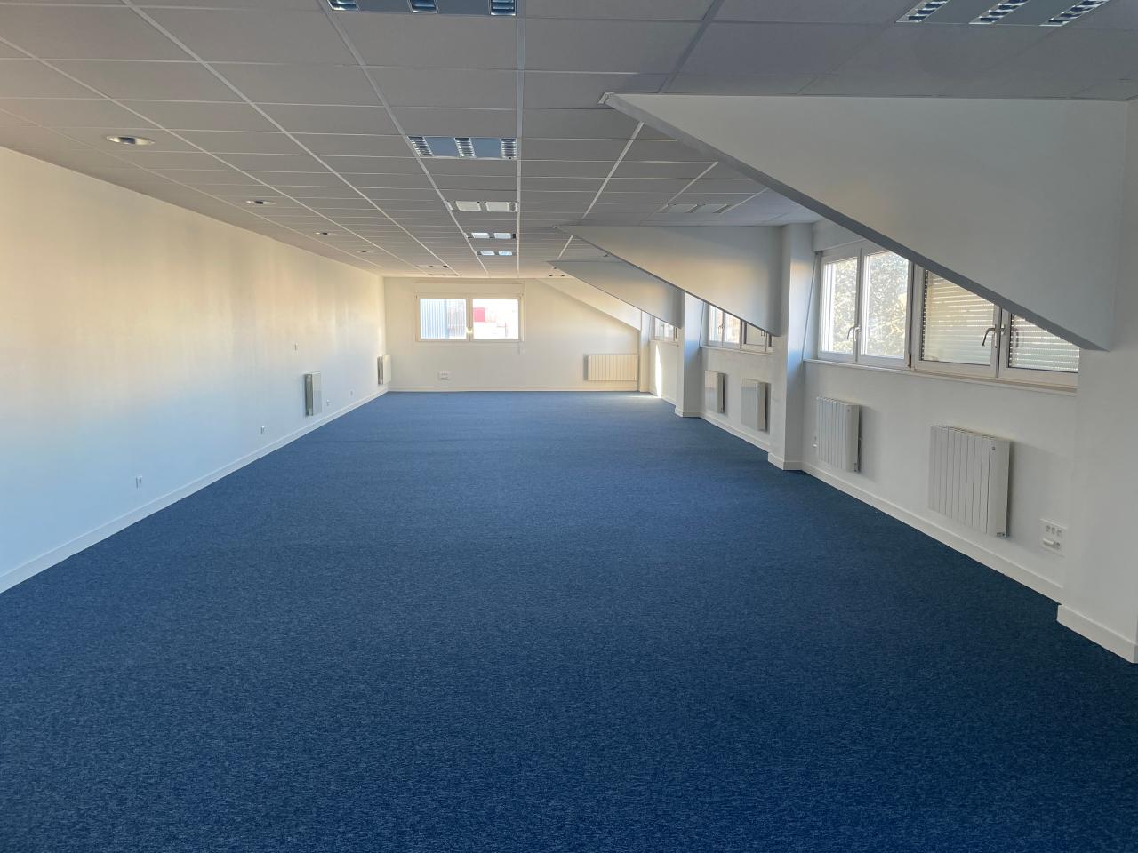 Location local d'activité Meyzieu Rhône OLACT2537598 11