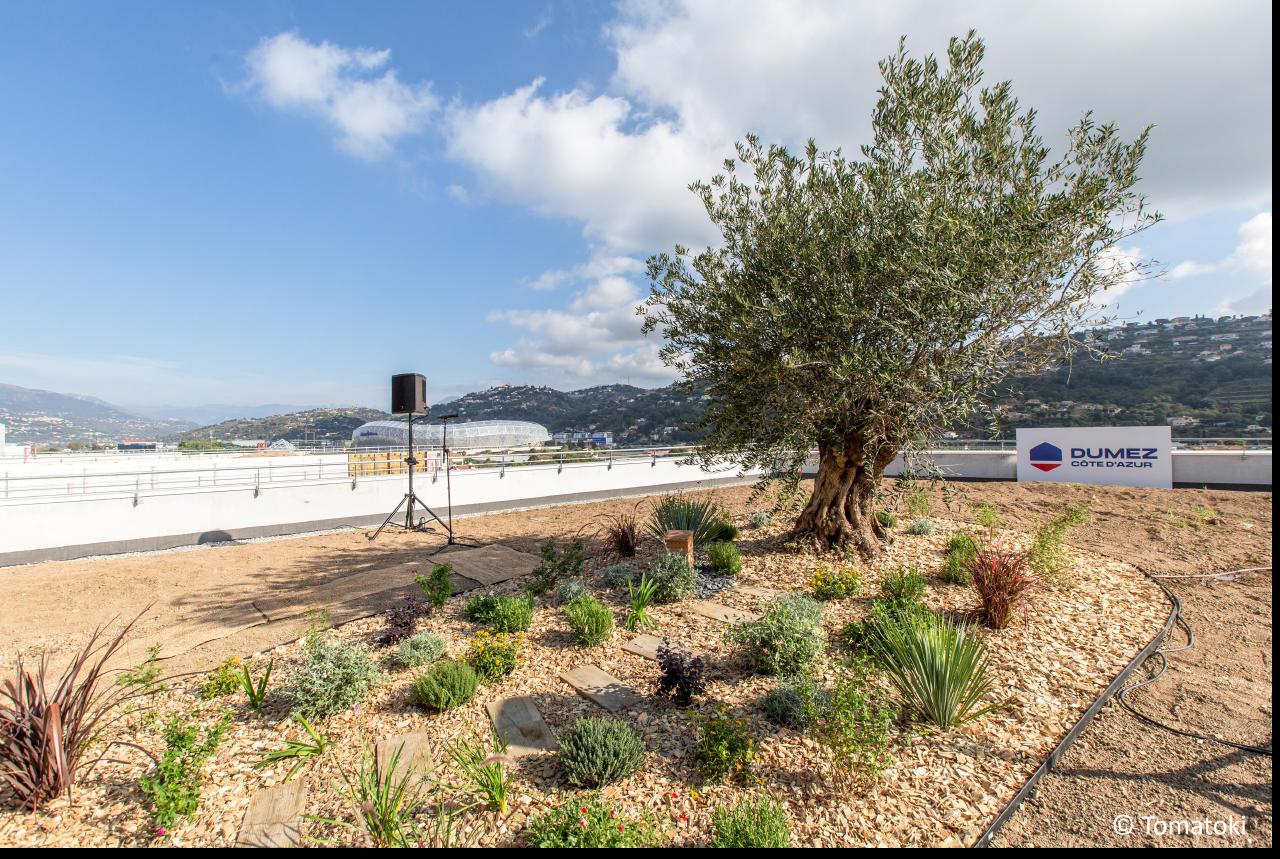 Location bureau Nice Alpes-Maritimes AOLBUR2311500_5 11