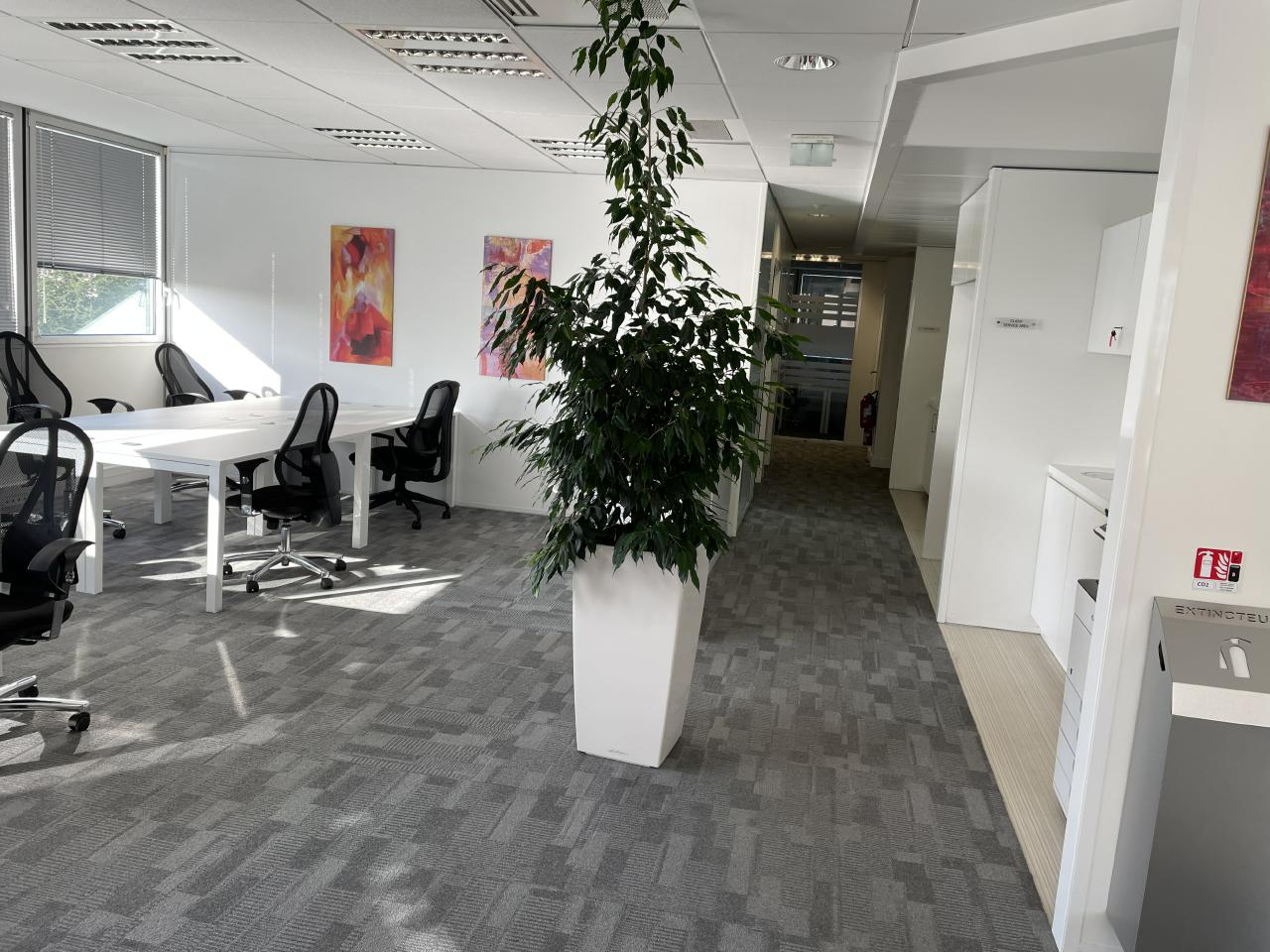Location bureau Vélizy-Villacoublay Yvelines OLBUR2206277 2
