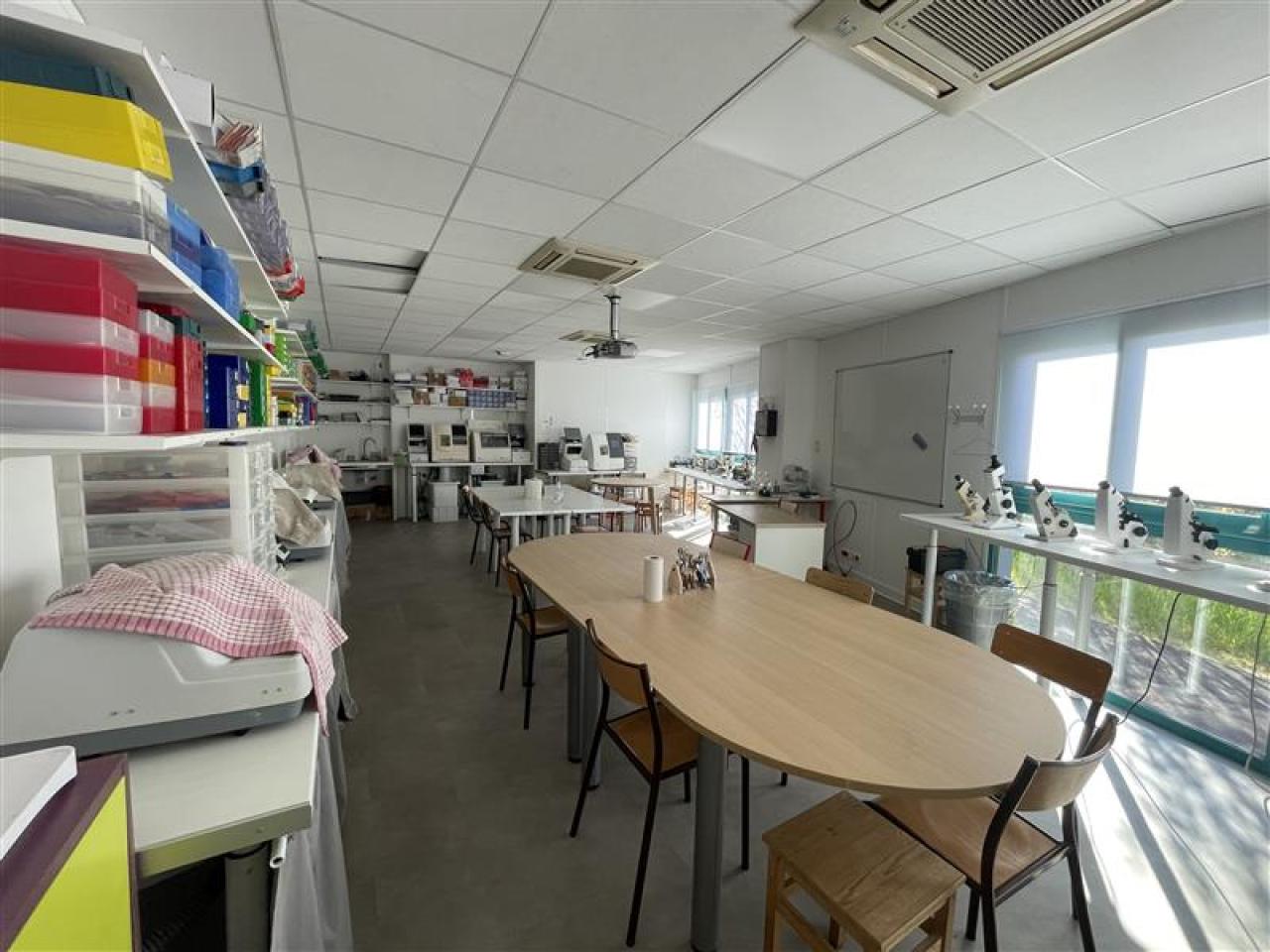 Location bureau Saint-Jean-de-Védas Hérault OLBUR2639913 12