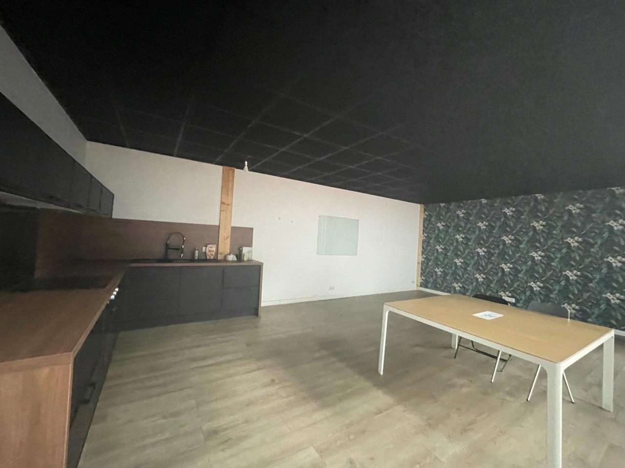 Location local d'activité Villeurbanne Rhône OLACT2534063 9