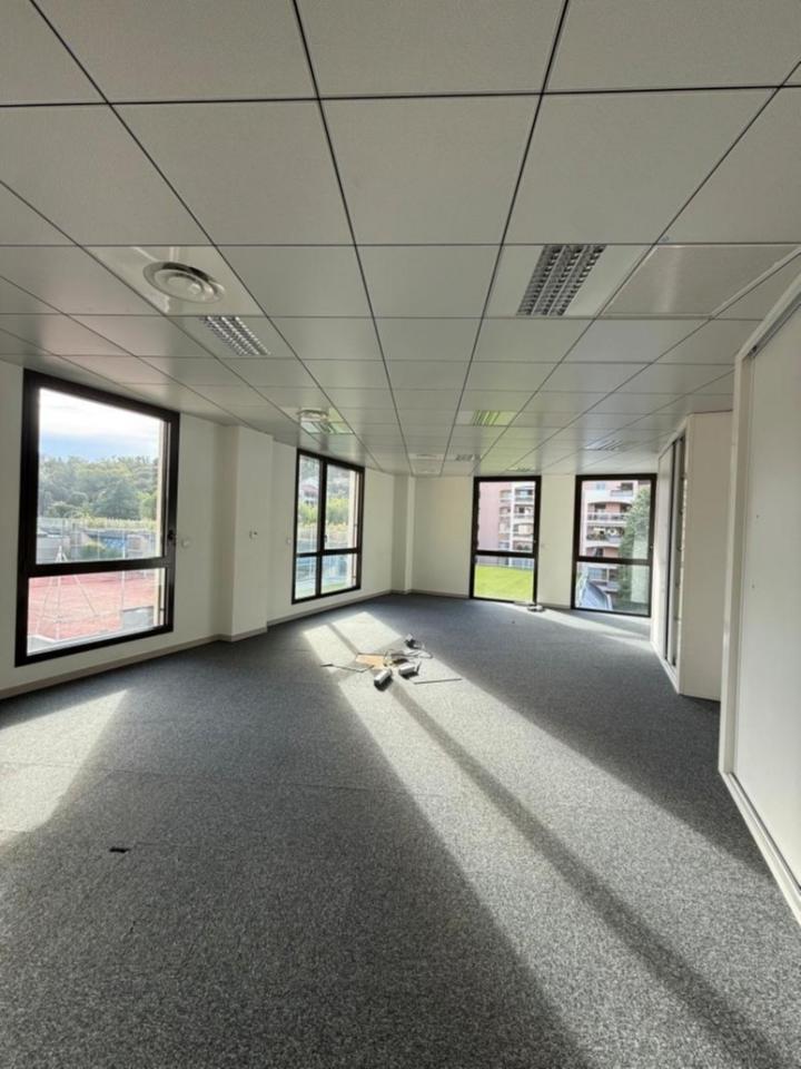 Location bureau Lyon Rhône OLBUR2420344 18