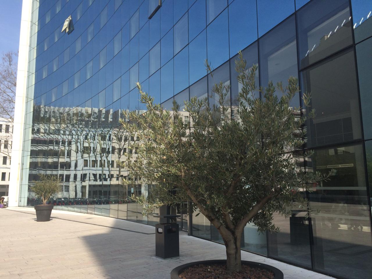 Location bureau Villeurbanne Rhône OLBUR2318681 1