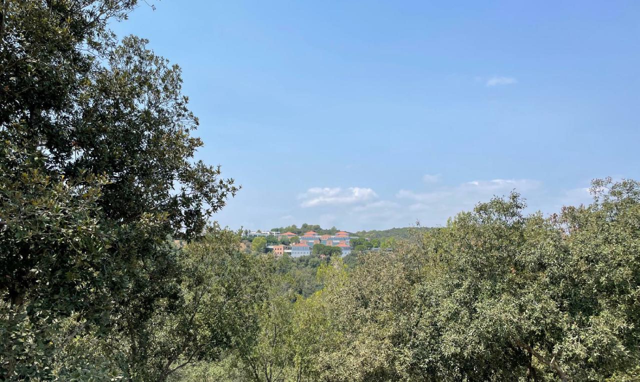 Vente bureau Biot Alpes-Maritimes AOVBUR2421491_2 6