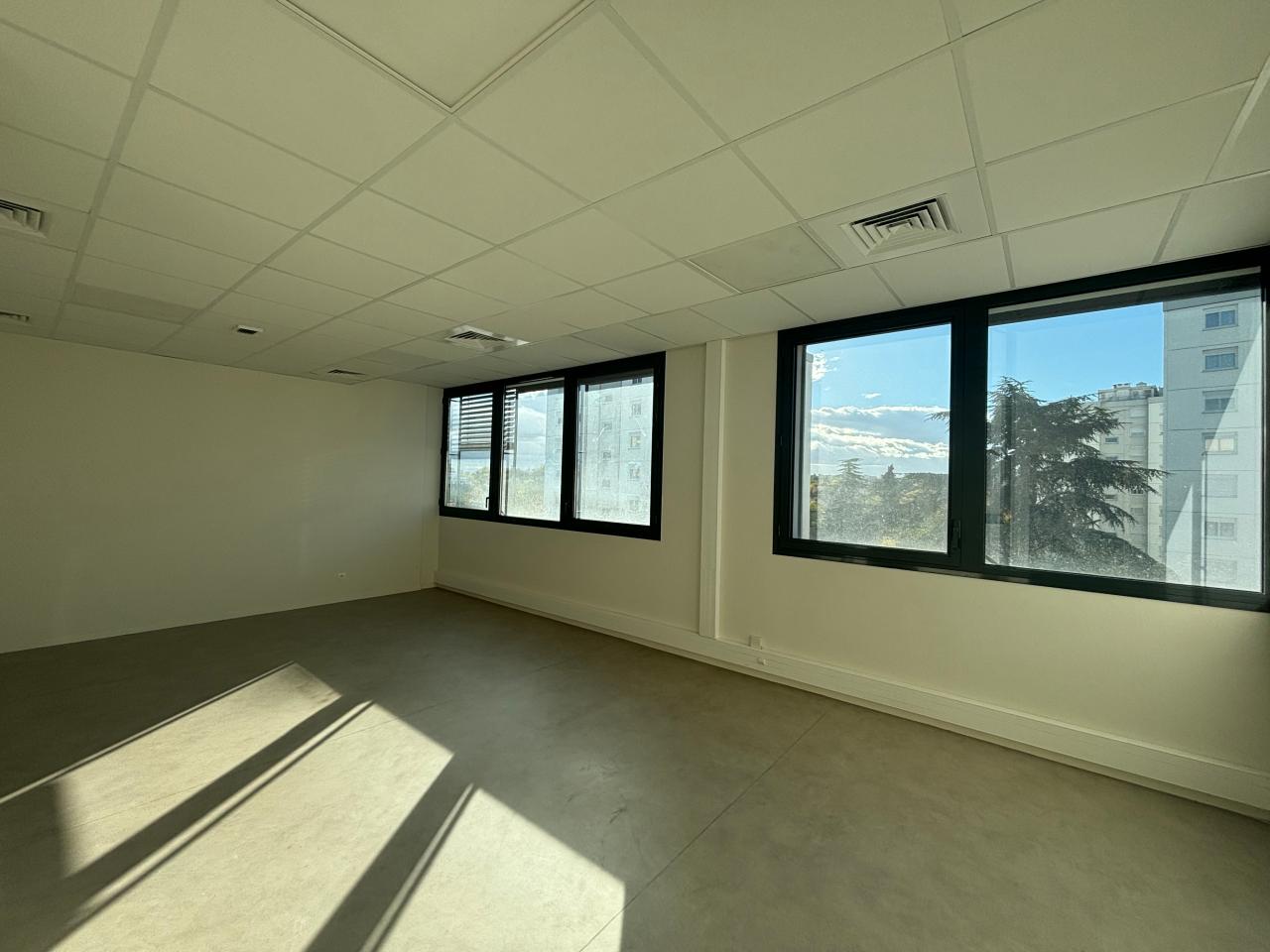 Location bureau Lyon Rhône OLBUR2119686 13