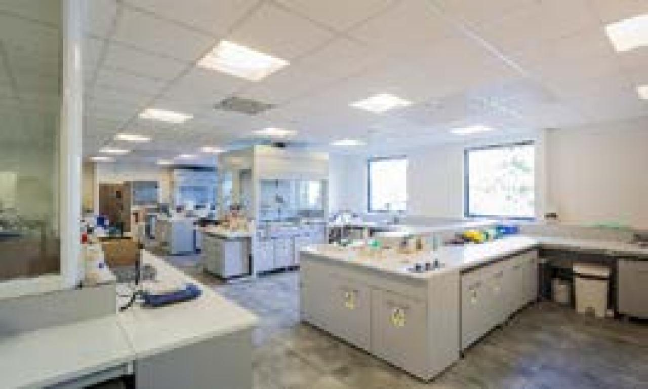 Location local d'activité Décines-Charpieu Rhône OLACT2537044 6