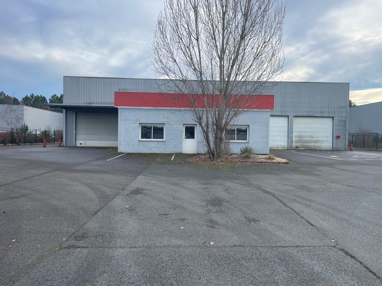 Location local d'activité Saucats Gironde OLACT2638343 12