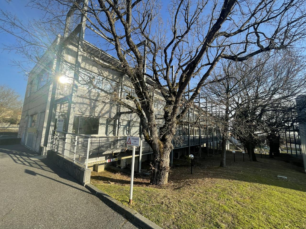 Location bureau Toulouse Haute-Garonne OLBUR2310025 4