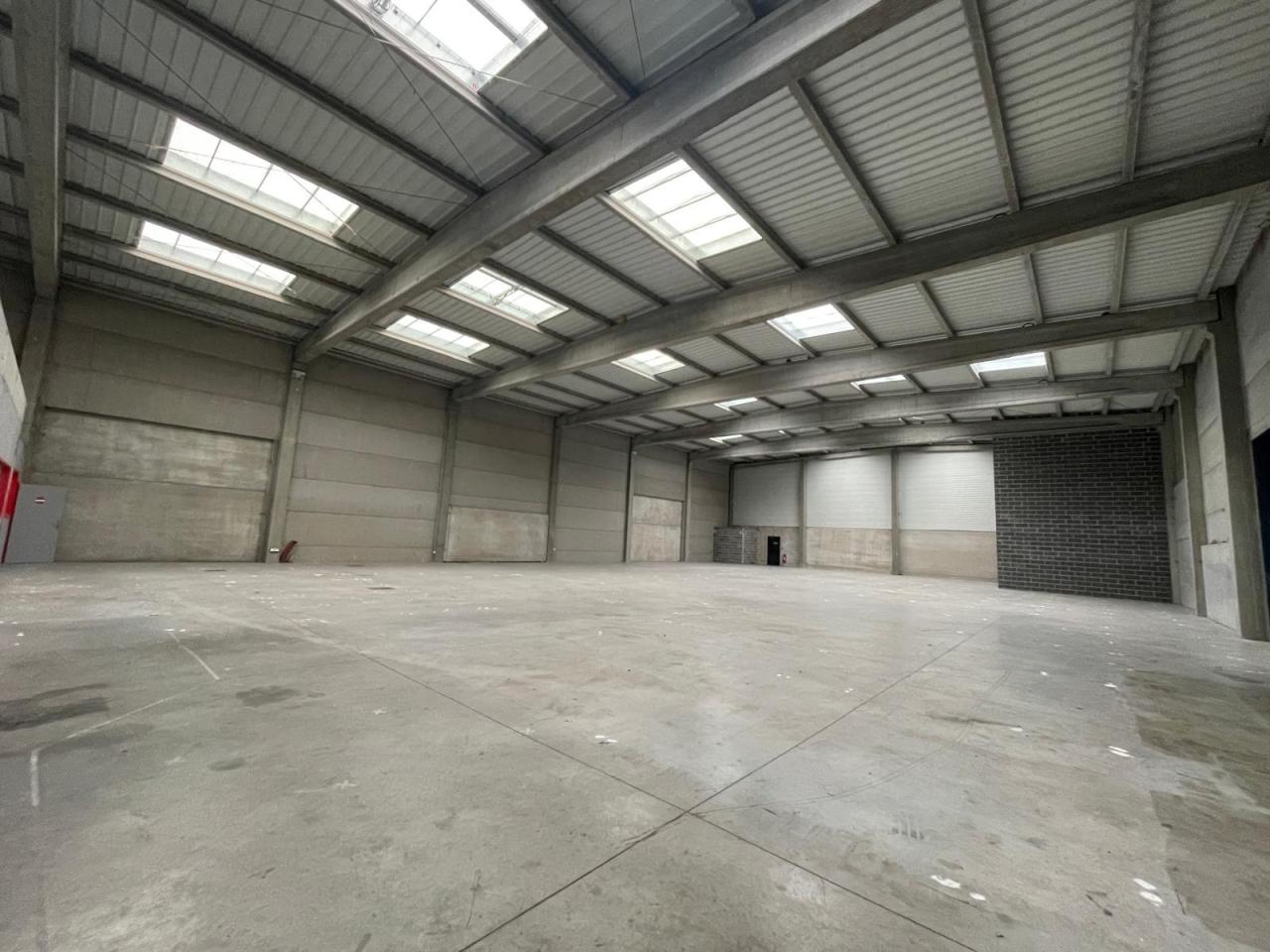 Location local d'activité Hallennes-lez-Haubourdin Nord OLACT2534816 7