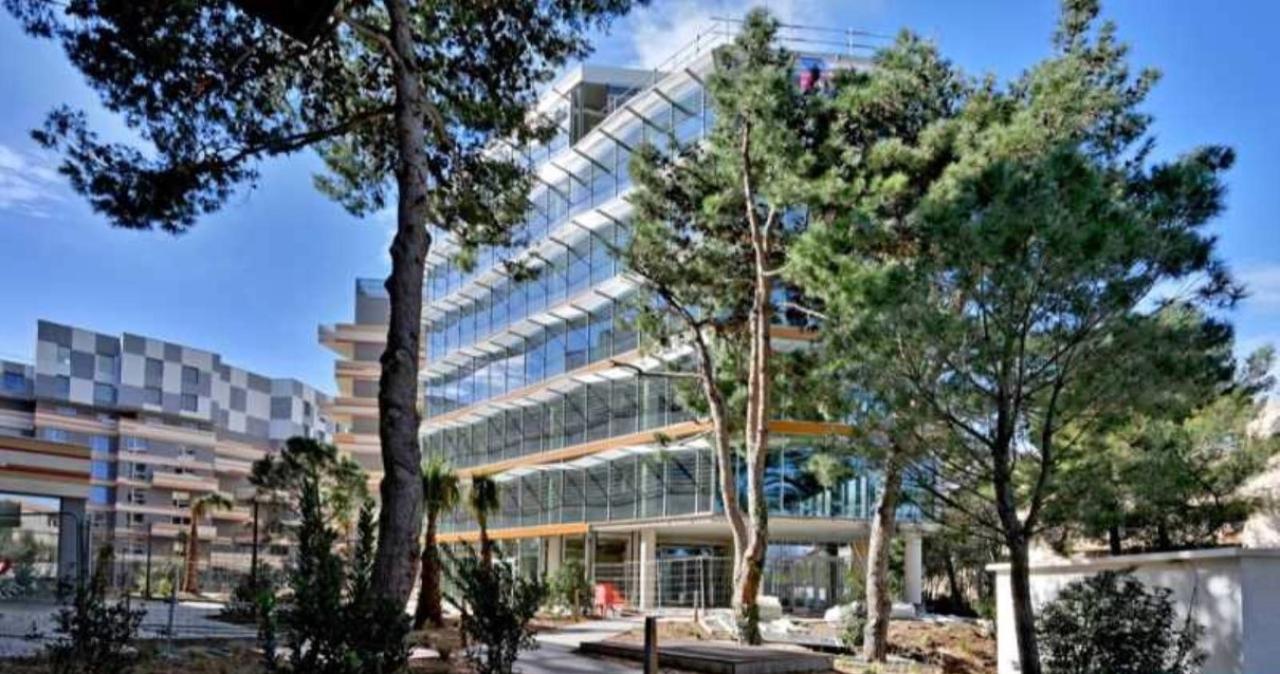 Location bureau Castelnau-le-Lez Hérault OLBUR2426819