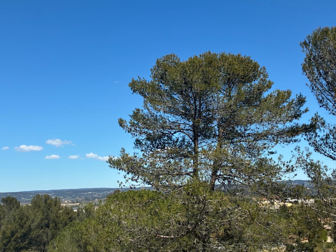 Location bureau Aix-en-Provence Bouches-du-Rhône OLBUR2309187 5