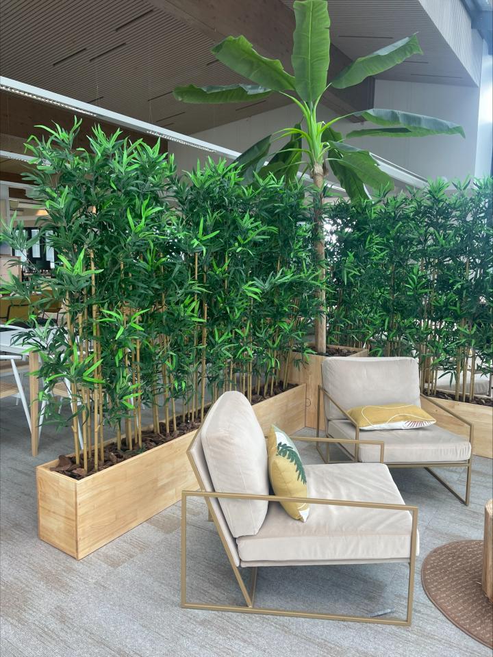 Location bureau Lyon Rhône OLBUR2202122 31