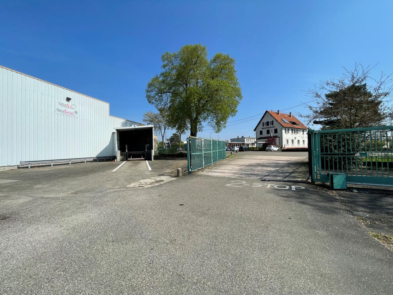 Vente local d'activité Schweighouse-sur-Moder Bas-Rhin OVACT2534996 7