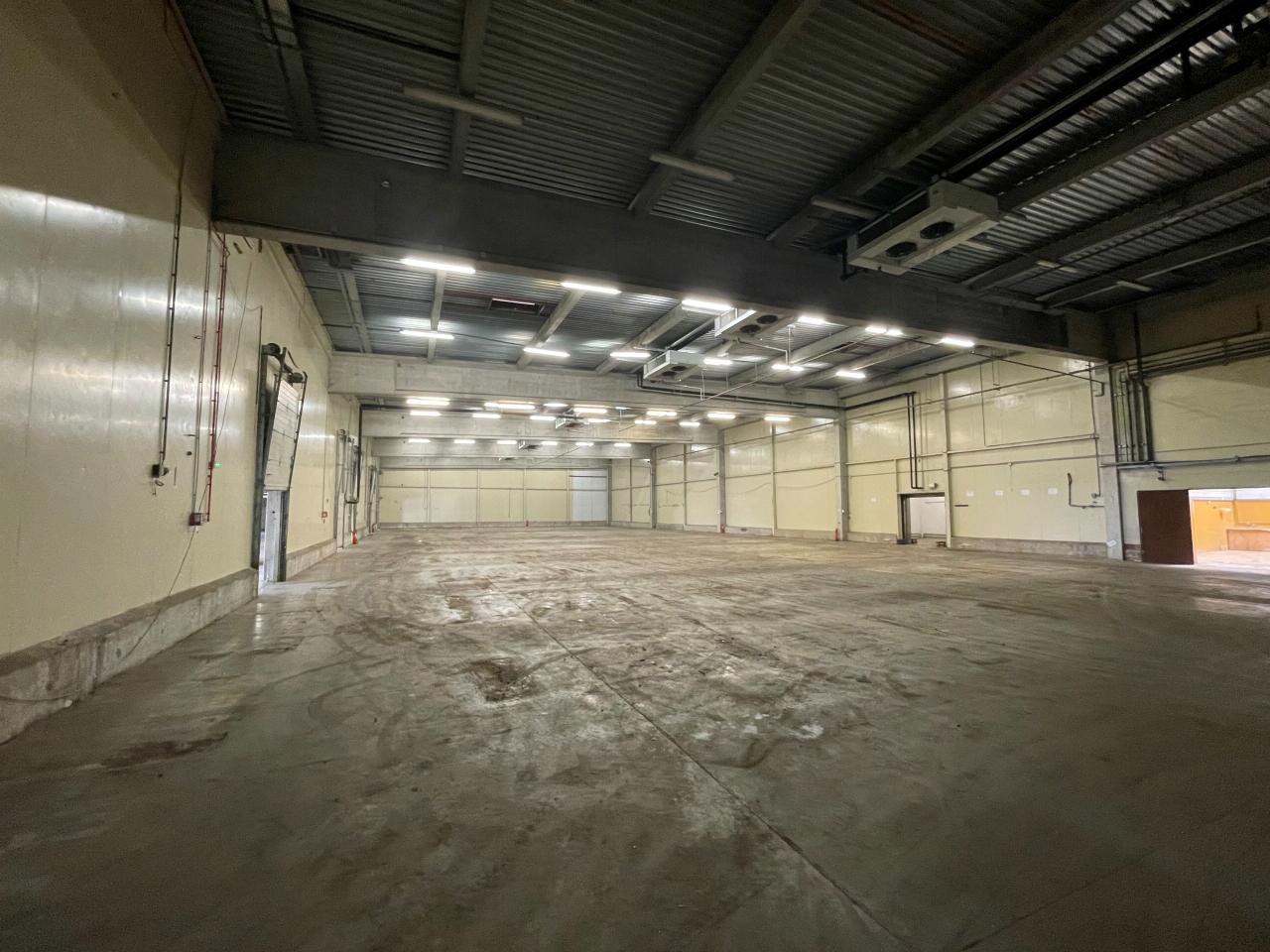 Vente entrepôt Illkirch-Graffenstaden Bas-Rhin OVLOG2537753 1