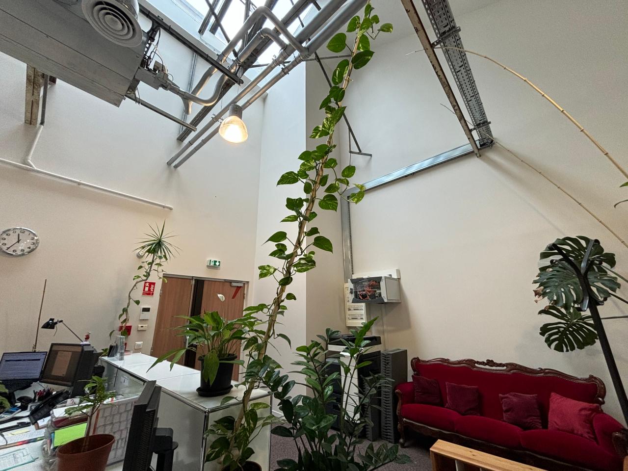 Location bureau Lyon Rhône OLBUR2641498 5