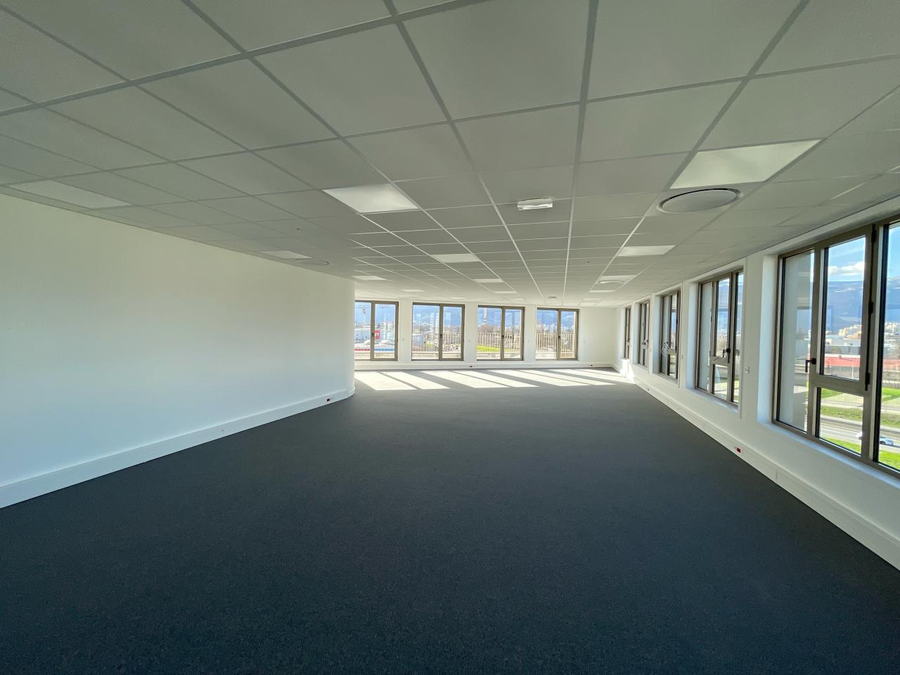 Vente bureau Eybens Isère OVBUR2120203 12