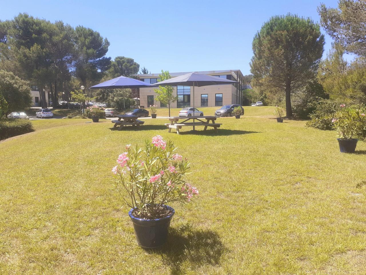 Location coworking Aix-en-Provence Bouches-du-Rhône OLBUR2428435 6