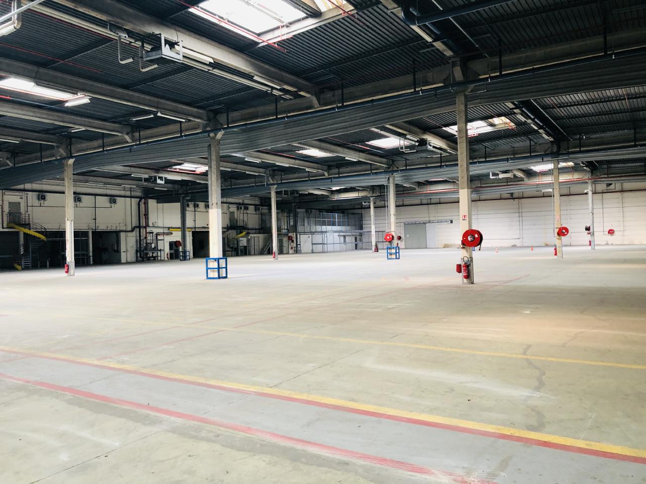 Location entrepôt Wissous Essonne OLLOG2529405 3