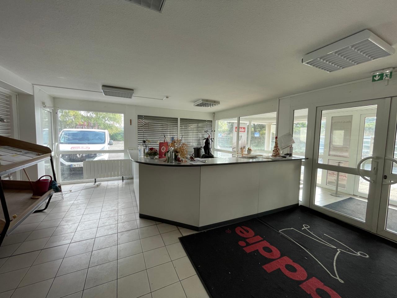 Vente local d'activité Dettwiller Bas-Rhin OVACT2536558 7