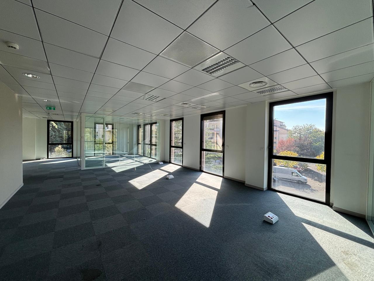 Location bureau Lyon Rhône OLBUR2420344 10
