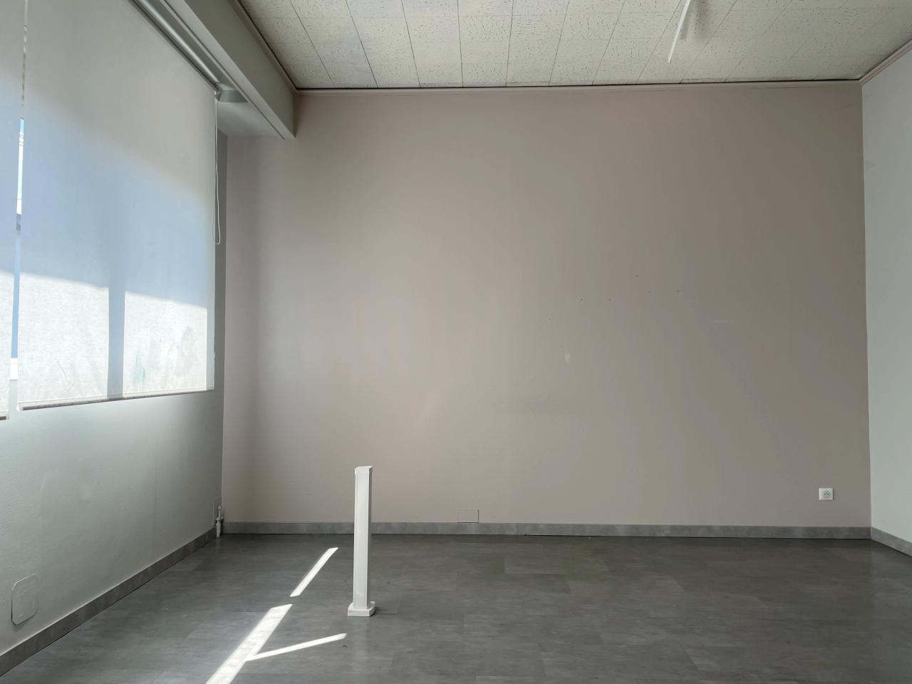 Location local d'activité Nantes Loire-Atlantique OLACT2532441 9